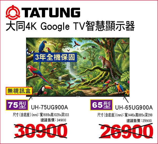 大同4K Google TV智慧顯示器(無視訊盒)