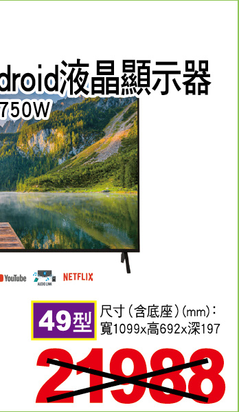 國際4K六原色Android液晶顯示器49型