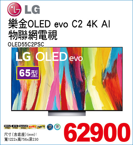 樂金OLEDevoC2AI物聯網電視65