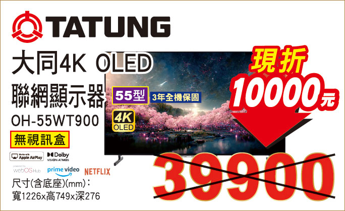 大同4KOLED聯網顯示器55