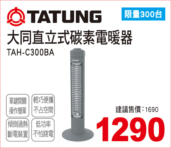 大同直立式碳素電暖器