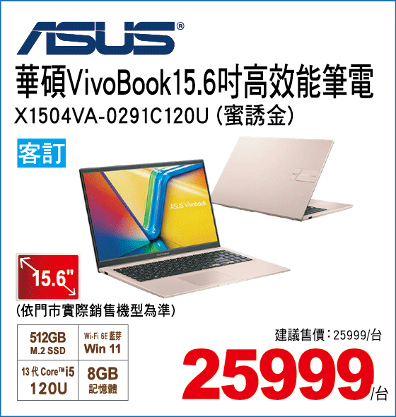 華碩VIVOBOOK 15 X1504VA-0291C120U 蜜誘金