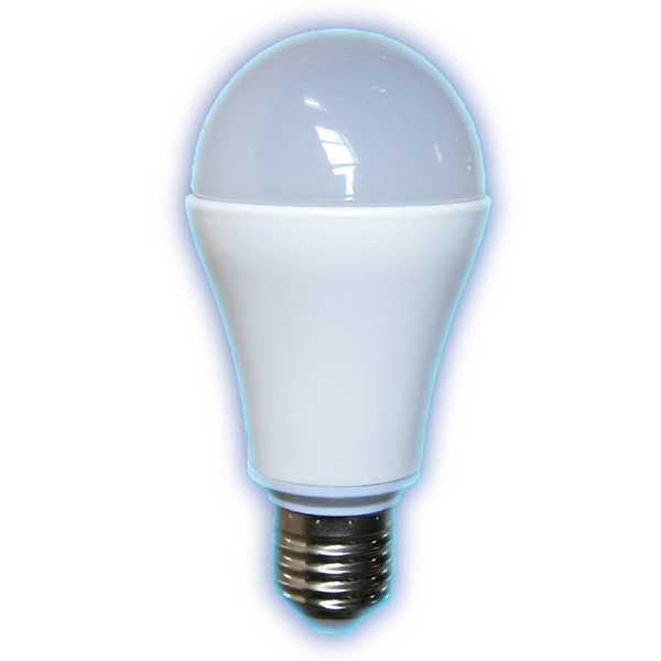 麗酷獅10w Led燈泡白光 B1001aw1p